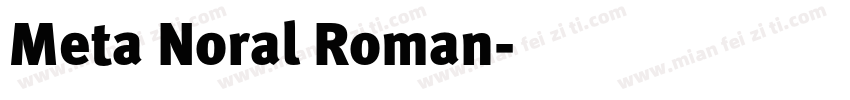 Meta Noral Roman字体转换
